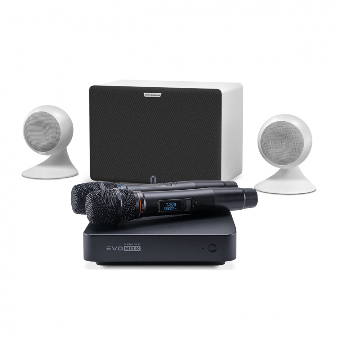 караоке-комплект EVOBOX Classic + EvoSound Sphere 2.1 в Тихорецке