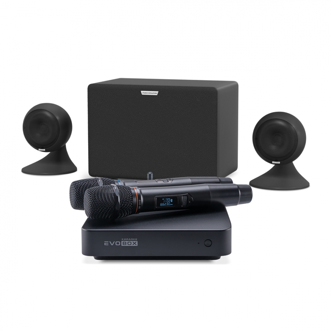 караоке-комплект EVOBOX Plus + EvoSound Sphere 2.1 в Тихорецке