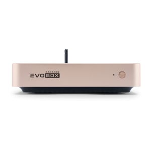 EVOBOX Classic караоке-система для дома в Тихорецке