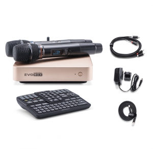 EVOBOX Plus караоке-система для дома в Тихорецке