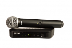 SHURE BLX24E/PG58 M17 вокальная радиосистема в Тихорецке